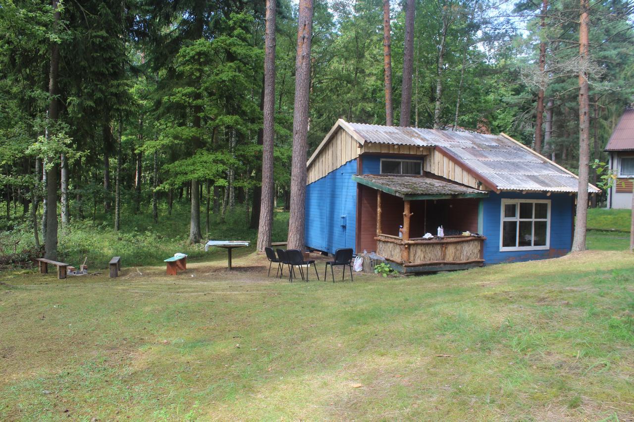 Villa Asmonu Poilsiaviete Kinty Exterior foto