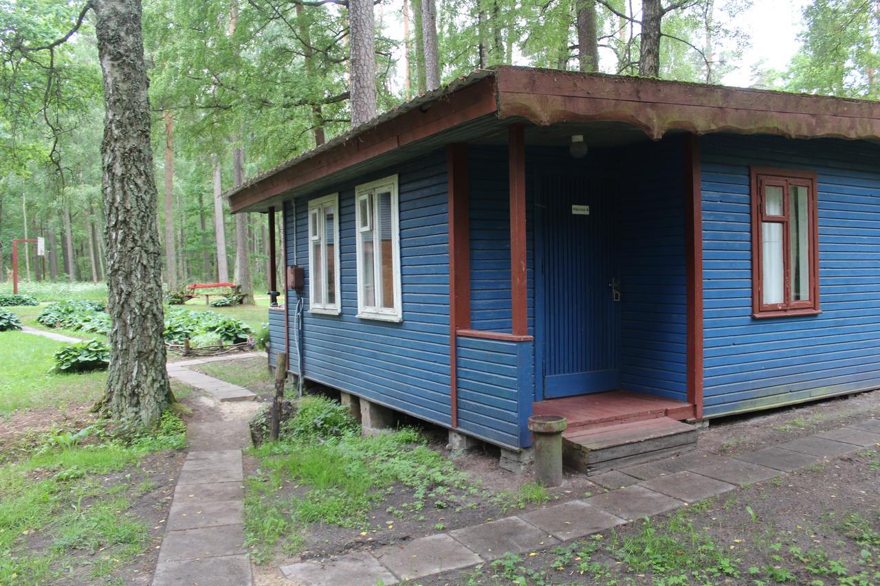 Villa Asmonu Poilsiaviete Kinty Exterior foto